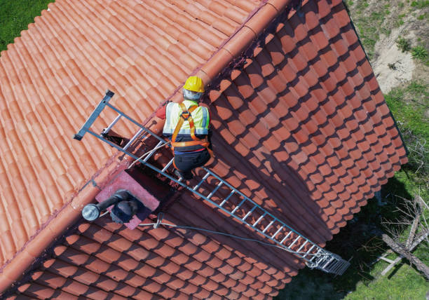 Best Roof Maintenance and Cleaning  in Weed, CA